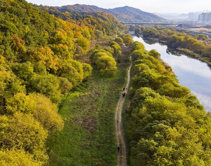 [대전=뉴시스] 갑천 월평공원 습지 *재판매 및 DB 금지