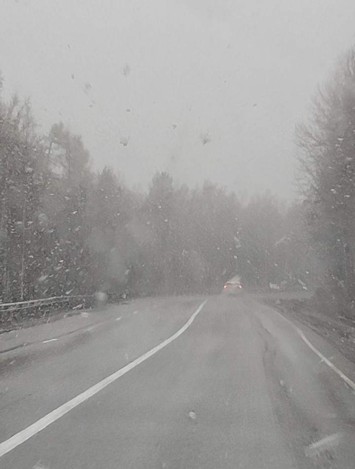 바이칼에서 이르쿠츠크로 가는 길에 만난 눈보라 *재판매 및 DB 금지