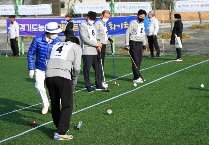 지난해 11월 충남 서천 제19회 전국농아인체육대회 게이트볼 경기. 부산시 제공 *재판매 및 DB 금지