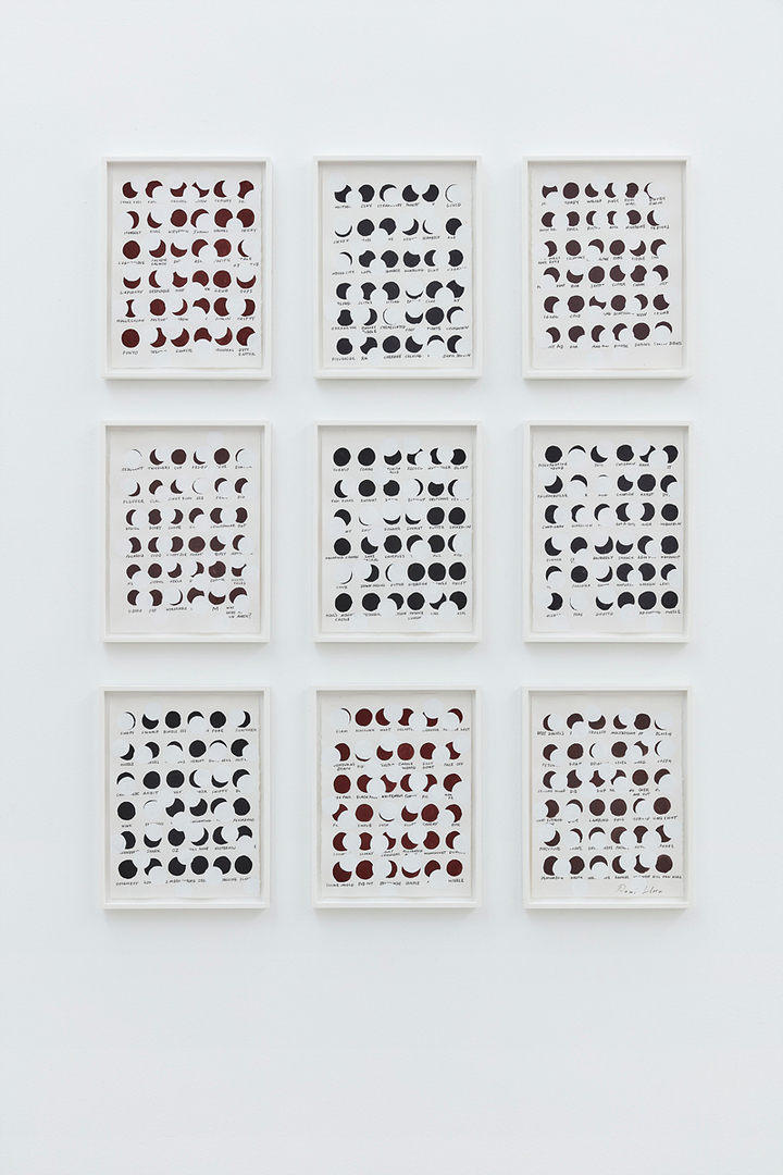 로니 혼, 〈Remembered Words—(Snake Eyes)〉 2012-2013 Watercolor, graphite on paper 9 units, 38.1 x 27.9 cm each Courtesy of the artist and Kukje Gallery 사진: Keith Park 이미지 제공: 국제갤러리 *재판매 및 DB 금지