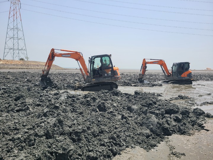 [인천=뉴시스] 인천 옹진군 영흥면 갯벌에서 서식 중인 쏙을 퇴치하는 모습. (사진=옹진군 제공) *재판매 및 DB 금지