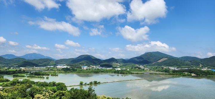 [창원=뉴시스] 강경국 기자 = 경남 창원시 의창구 동읍(사진=창원시청 제공). 2023.06.05. photo@newsis.com 주남저수지의 6월 풍경.  *재판매 및 DB 금지