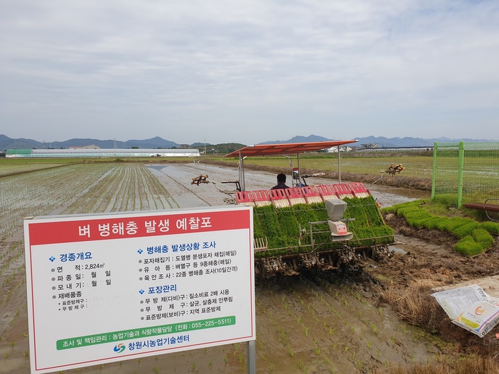 창원시, 벼 병해충 발생 예찰포 모내기 진행