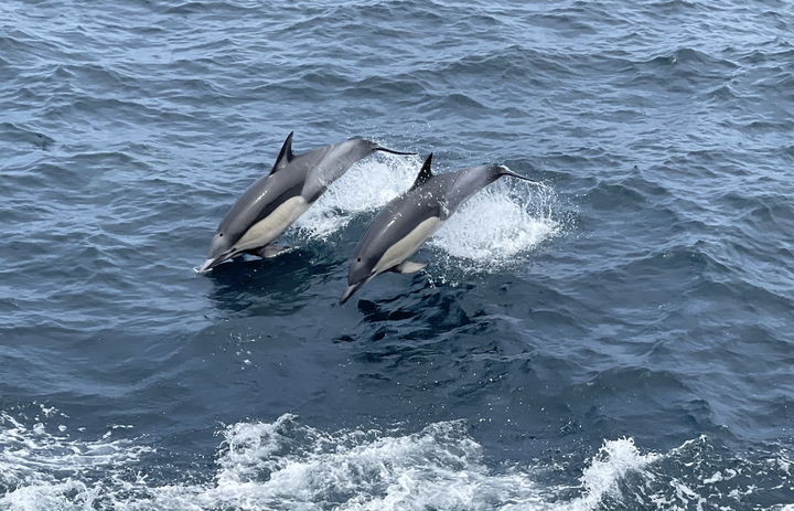 [울산=뉴시스] 남구도시관리공단 제공 *재판매 및 DB 금지