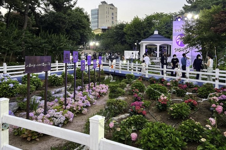[울산=뉴시스] 지난해 6월&nbsp; 제1회 울산 남구 장생포 수국 페스티벌 *재판매 및 DB 금지