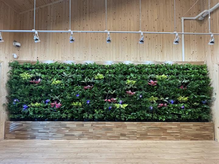 실내 수직정원 스마트 가든볼. 사진=천안시 제공 *재판매 및 DB 금지