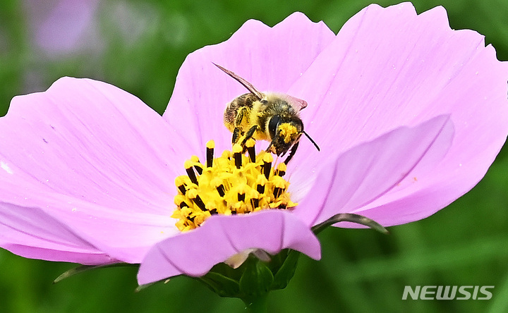 울산 낮부터 차차 맑아져…최고기온 27도