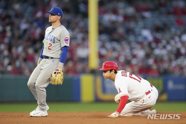 [애너하임=AP/뉴시스] 오타니 쇼헤이 도루