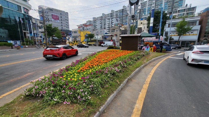 [통영=뉴시스] 신정철 기자= 경남 통영시는 시민들의 정서적 안정과 치유를 위한 볼거리를 제공하기 위해 시내 주요 거점에 조형물 및 화단을 조성했다고 8일 밝혔다. 사진은 정량동 도로교통섬(새마을금고 앞)은 작은 쌈지꽃밭 모습.(사진=통영시 제공).2023.06.08. photo@newsis.com *재판매 및 DB 금지