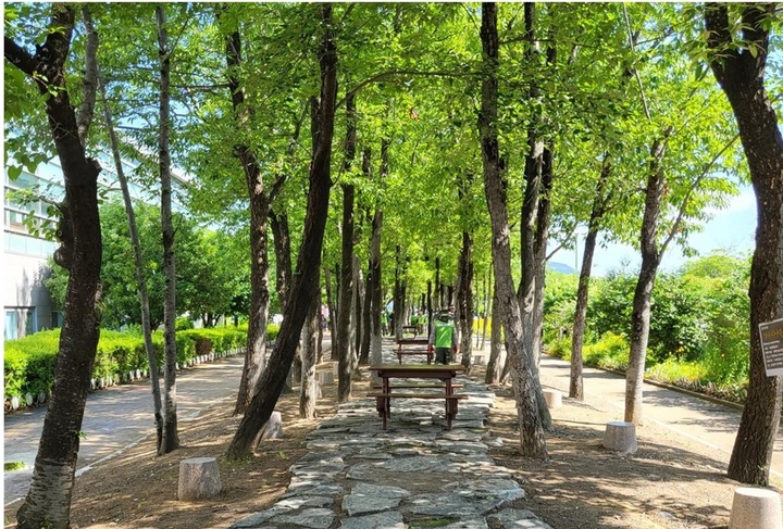 [부산=뉴시스] 부산 금정체육공원 참나무숲길 (사진=부산시설공단 제공) *재판매 및 DB 금지