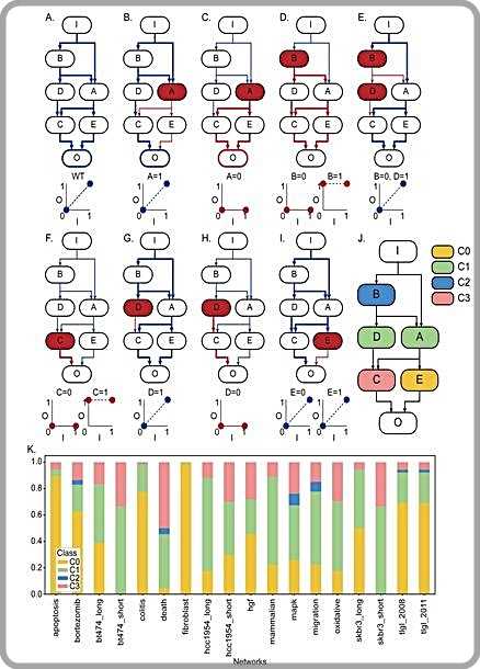 [대전=뉴시스] 유전자 조절 네트워크의 입출력 관계. 조 교수팀은 유전자 돌연변이가 유전자 조절 네트워크의 입출력 관계에 미치는 영향을 시뮬레이션 분석해 유전자들을 총 4개의 유형으로 분류했다(그림 A-J). 또 암 관련 유전자 조절 네트워크 18개의 유전자들을 분석, 각 네트워크를 구성하는 절반 이상의 유전자들이 돌연변이가 발생했을 때 적절한 제어를 통해 가역화가 가능한 것을 확인했다(그림 K).  *재판매 및 DB 금지