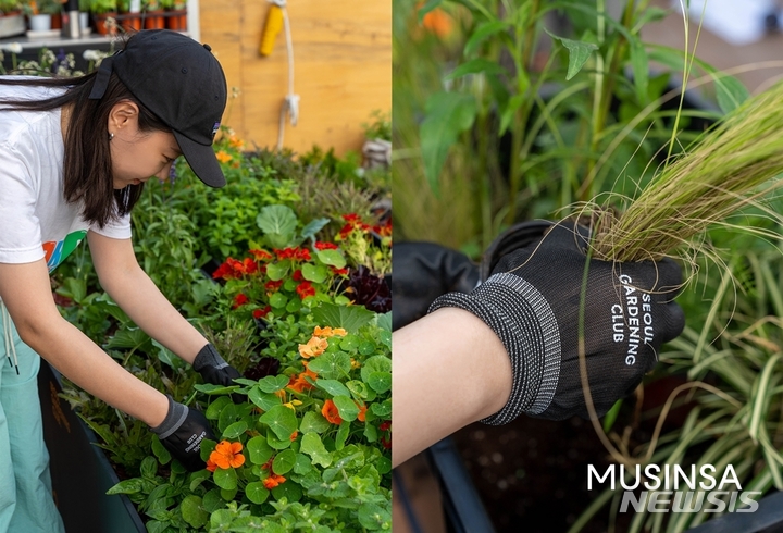 [서울=뉴시스]무신사 임직원들이 친환경 캠페인 '비 그리너' 관련 활동을 하고 있다. (사진=무신사 제공)