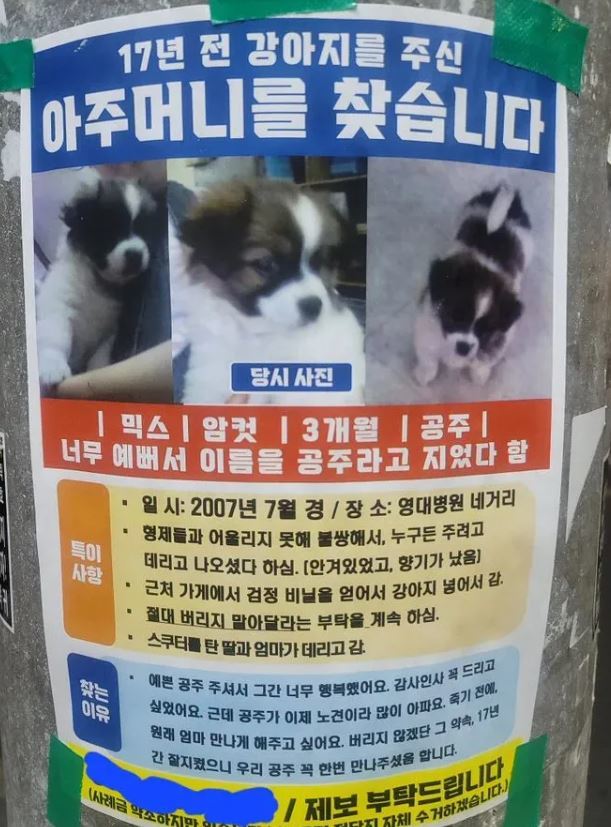 사진 온라인 커뮤니티 캡처 *재판매 및 DB 금지