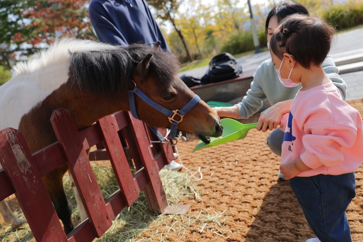 [서울=뉴시스]한국마사회, K-농산어촌 한마당에서 말 산업 홍보. (사진=한국마사회 제공)