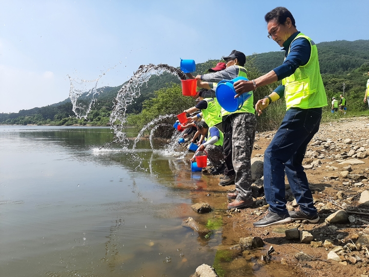 충남 천안시가 외래 어종의 번식을 억제하기 위해 9일 용연저수지, 천흥저수지, 천호저수지 일원에서 가운데 치어 방류 행사를 열었다. 사진=천안시 제공 *재판매 및 DB 금지