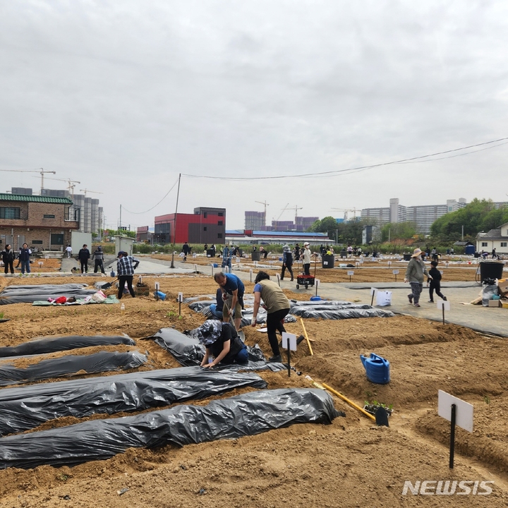 [안성=뉴시스] 공공 친환경 텃밭 가꾸기 모습 (사진 = 안성시 제공)