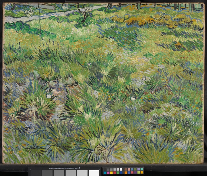 빈센트 반 고흐, <풀이 우거진 들판의 나비>, 1890년, 캔버스에 유화, 64.5 × 80.7 cm, 내셔널갤러리 런던 *재판매 및 DB 금지