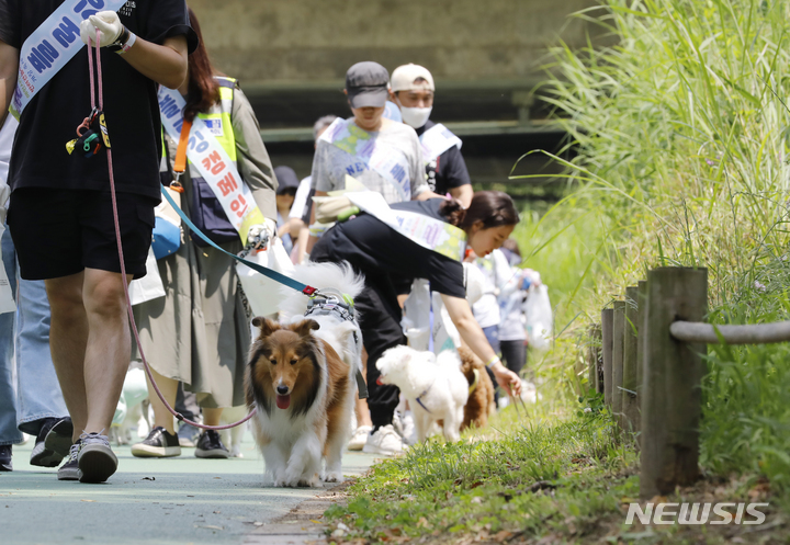 [서울=뉴시스] 고승민 기자 = 11일 서울 서초구 매헌시민의숲 반려견놀이터에서 열린 '반려견 놀이터 개장 축제'를 찾은 시민들이 인근 산책로를 걸으며 반려견과 플로깅 캠페인을 하고 있다. 2023.06.11. kkssmm99@newsis.com