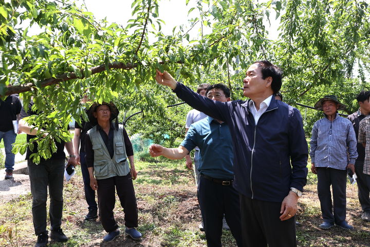 김주수 의성군수가 우박 피해 농가를 방문해 피해상황을 점검하고 있다. (사진=의성군 제공) *재판매 및 DB 금지