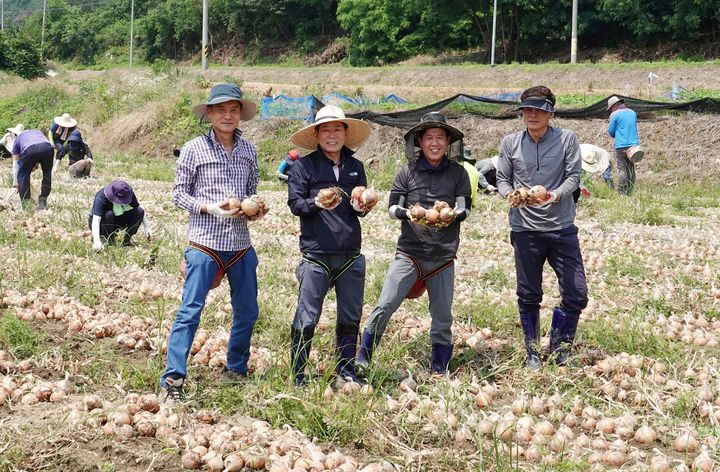 [창녕=뉴시스] 안지율 기자 = 성낙인(왼쪽 두번째) 경남 창녕군수가 14일 대합면 한 양파 농가를 찾아 참가자들과 함께 양파 수확 일손돕기를 하고 있다. (사진=창녕군 제공) 2023.06.14. photo@newsis.com *재판매 및 DB 금지