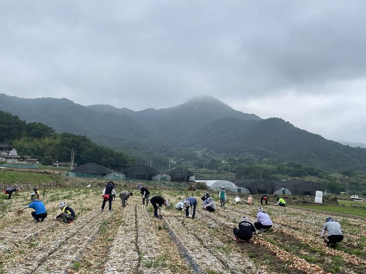 [합천=뉴시스] 합천군청 *재판매 및 DB 금지 *재판매 및 DB 금지