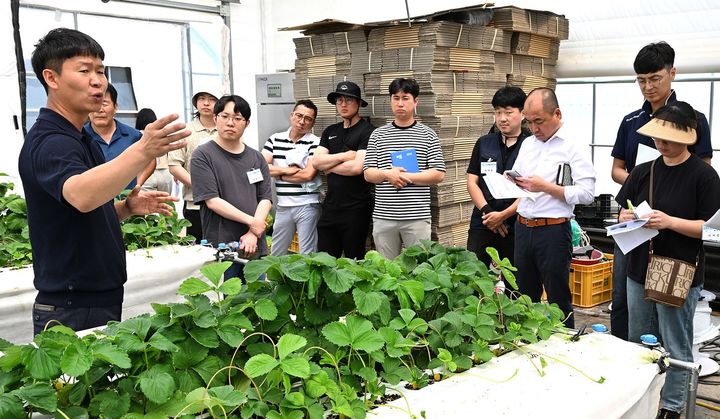 [청주=뉴시스] 이병찬 기자 = 충북 농업기술원의 스마트팜 선진지 견학 프로그램에 참가한 청년농업인과 귀농인들이 15일 진천의 한 딸기 농장을 둘러보고 있다.(사진=충북도 제공) 2023.06.15.photo@newsis.com  *재판매 및 DB 금지