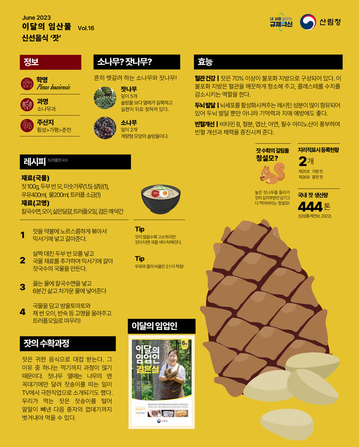 [대전=뉴시스] 6월 이달의 임산물로 선정된 '잣'.(사진=산림청 제공) *재판매 및 DB 금지