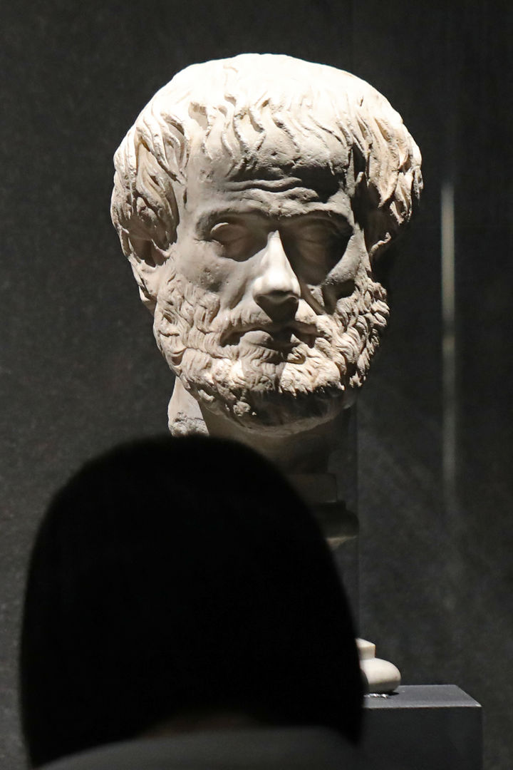 [서울=뉴시스] 박진희 기자 = '철학자 아리스토텔레스' 석고 두상. 그리스 시대에는 사람을 작품으로 표현할 때 그 사람의 속마음이나 정신, 겉으로 드러나지 않는 면을 담으려 했다. 시간이 지나면서 외모나 옷차림 등 개인의 특징을 강조하는 작품으로 점점 변했다. 이 작품은 그리스 대표 철학자 아리스토텔레스를 표현한 초상 조각이다. 푹 꺼진 뺨과 듬성듬성한 머리카락에서 노화의 흔적이 엿보이고, 조용하지만 생각이 깊은 모습으로 표현했다. 2023.06.17. pak7130@newsis.com *재판매 및 DB 금지