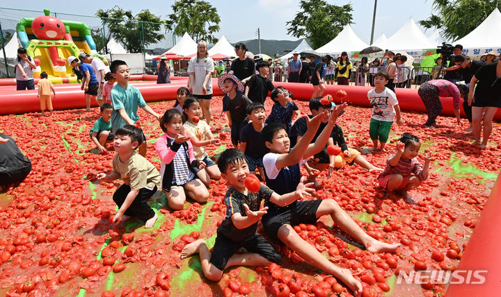 [경기 광주=뉴시스] 제21회 퇴촌 토마토축제. (사진=뉴시스 DB). photo@newsis.com 