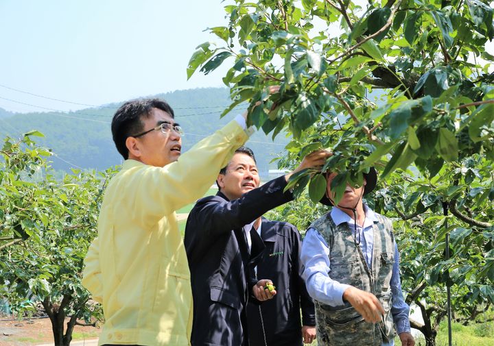 경남농협, 우박 피해 농가 현장 점검 *재판매 및 DB 금지