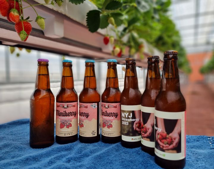 딸기맥주. (사진=경기도농업기술원 제공) *재판매 및 DB 금지