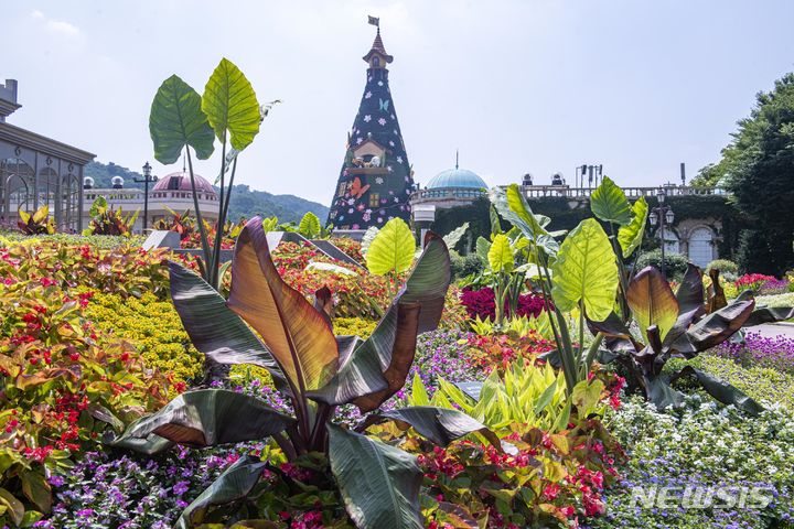 에버랜드 '서머 오아시스 가든'