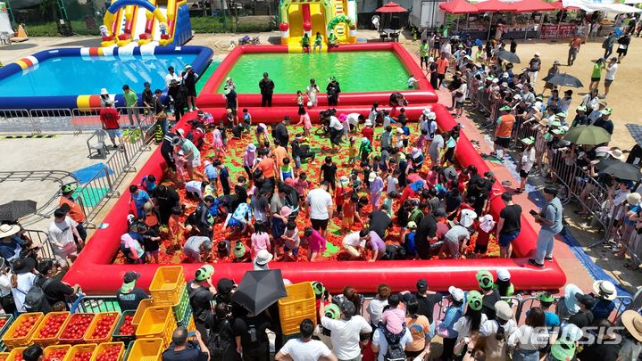 [광주(경기)=뉴시스] 광주시 퇴촌면에서 열린 '제21회 퇴촌 토마토축제'가 지난 18일 폐막했다.