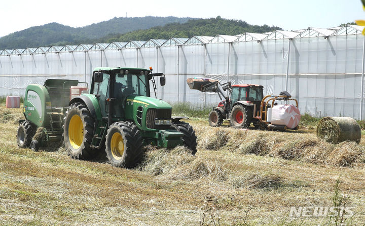 전남지역 동계조사료 수확 현장. (사진=전남도 제공) photo@newsis.com