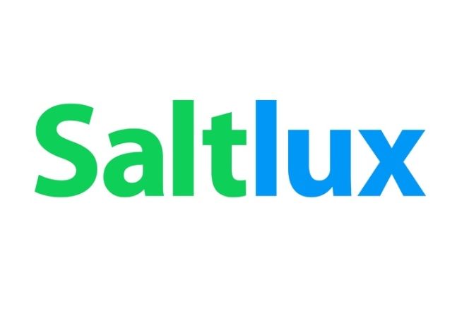 한투證 "솔트룩스, 인공지능 상용화 선도 기업"