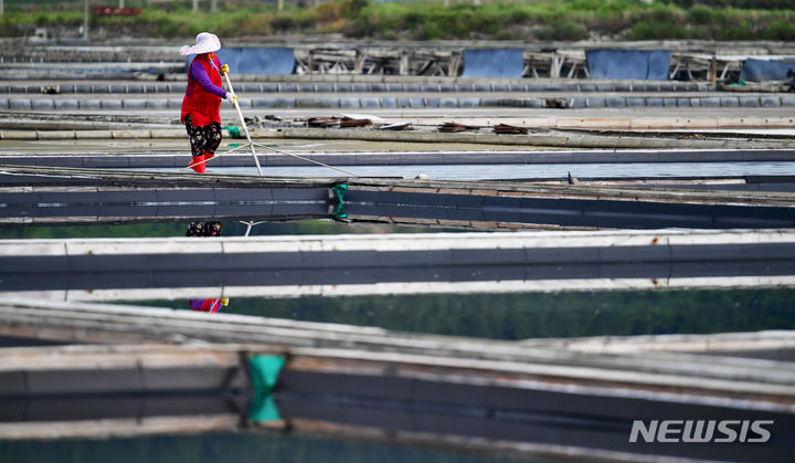 [신안=뉴시스] 이영주 기자 = 전남 신안군 한 염전에서 염부가 염전을 관리하는 모습. 사진과 기사 직접적 관련 없음. 2023.06.20. leeyj2578@newsis.com