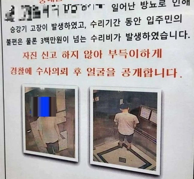 사진 온라인 커뮤니티 '보배드림' 캡처 *재판매 및 DB 금지