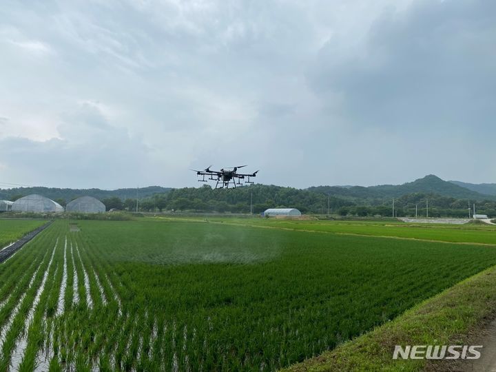  드론을 이용한 도열병 방제