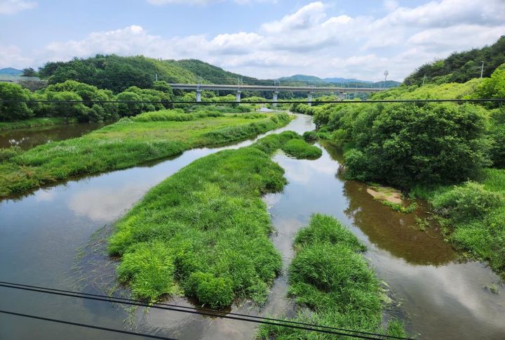 [서울=뉴시스] 지난 13일 악어로 추정되는 동물을 봤다는 신고가 접수된 경북 영주시 문수면 무섬교 일대. (사진=환경부 제공) *재판매 및 DB 금지