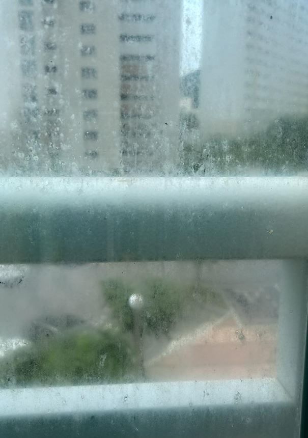 사진 온라인 커뮤니티 '보배드림' 캡처 *재판매 및 DB 금지