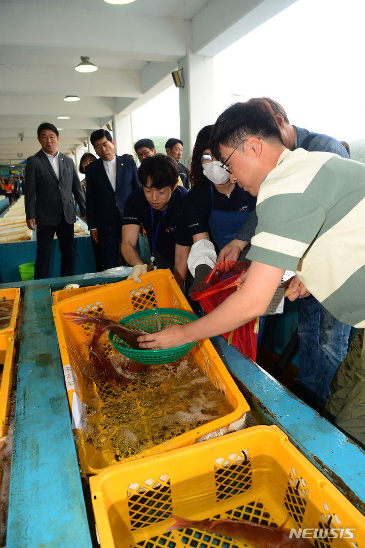 [통영=뉴시스] 차용현 기자 = 27일 오전 경남 통영시 통영수협삼덕위판장에서 경상남도 수산안전기술원 관계자와 도민 참관인들이 방사능 검사에 사용될 물고기를 수거하고 있다. 2023.06.27. con@newsis.com