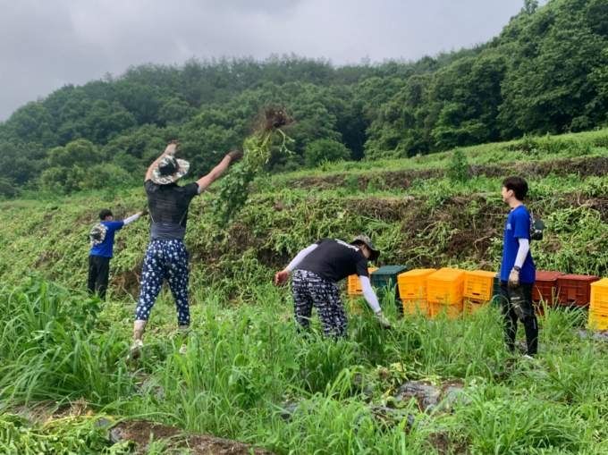 [거창=뉴시스] 거창군청 *재판매 및 DB 금지 *재판매 및 DB 금지