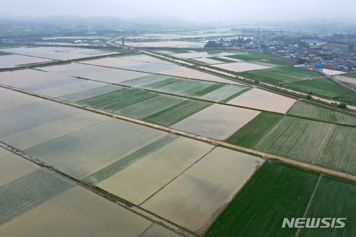 [함평=뉴시스] 변재훈 기자 = 밤사이 광주·전남에 거센 장맛비가 쏟아진 28일 전남 함평군 엄다면 성천리 일대 농경지가 흙탕물에 잠겨 있다. 2023.06.28. wisdom21@newsis.com