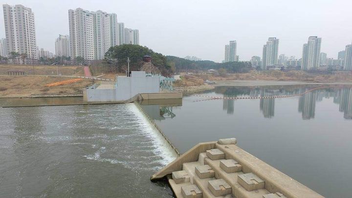 [뉴시스＝세종]수문 열린 세종보 전경.(사진=독자제공) *재판매 및 DB 금지