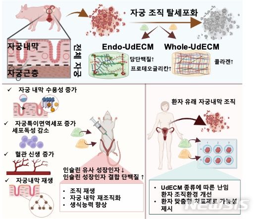 [서울=뉴시스]국내 연구진이 자궁 내막 성분과 유사해 자궁 내막의 두께를 정상 수준으로 회복시키고 배아 착상률을 크게 높이는 하이드로 젤을 개발해냈다. (이미지= 차병원 제공) 2023.07.01. photo@newsis.com.