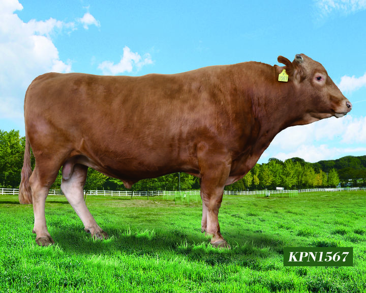 소(사진=농촌진흥청) *재판매 및 DB 금지