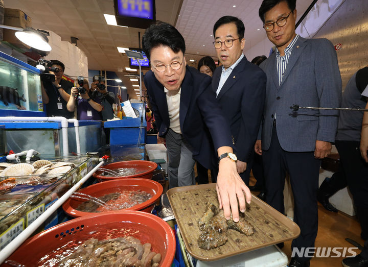 [서울=뉴시스] 황준선 기자 = 장제원 국회 과학기술정보방송통신위원회(과방위) 위원장이 3일 오전 서울 동작구 노량진수산시장을 찾아 해삼을 살펴보고 있다. 2023.07.03. hwang@newsis.com