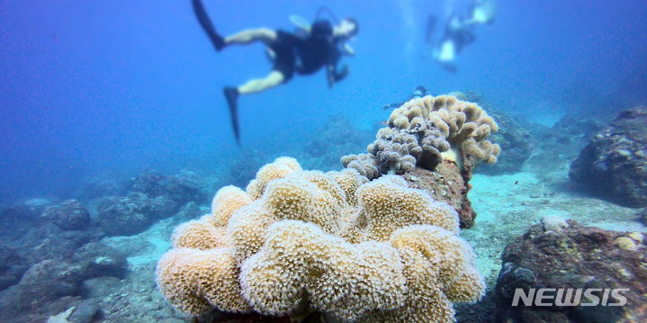 [서울=뉴시스] 사이판 스쿠버다이빙. (사진=하나투어 제공)