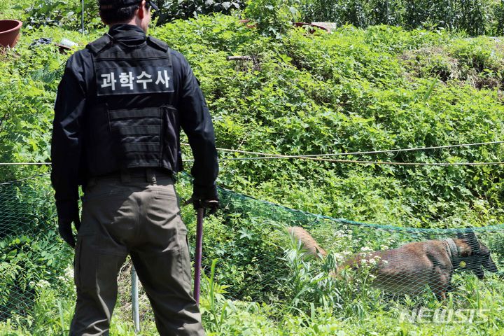 [부산=뉴시스] 부산경찰청이 지난 2023년 7월5일 오전 출생 미신고된 영아 시신이 암매장된 것으로 추정되는 부산 기장군의 한 야산에서 수색견을 동원해 수색작업을 벌이고 있다. (사진=뉴시스 DB). photo@newsis.com