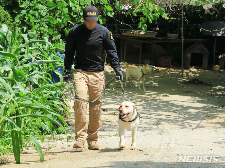 [인천=뉴시스] 김동영 기자 = 인천경찰이 지난 6일 오전 경기 김포 대곶면 한 텃밭에서 인천 출생 미신고 영아 시신을 찾기 위해 이동하고 있다. 경찰은 이 텃밭에 영아의 친모가 시신을 암매장한 것으로 보고 있다. 출생 미신고의 친모는 지난 2016년 8월7일 출생한 딸이 다음날 숨지자 장례 절차 없이 경기 김포시 한 텃밭에 매장한 혐의(사체유기)를 받고 있다. 2023.7.9. dy0121@newsis.com